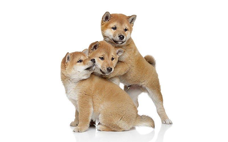 万博開幕!!